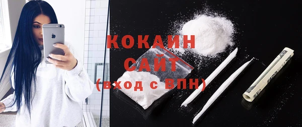 шишки Магас