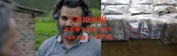 шишки Магас