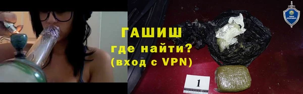 шишки Магас