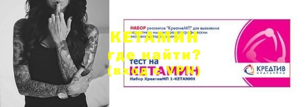 шишки Магас