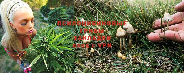 не бодяженный Мегион
