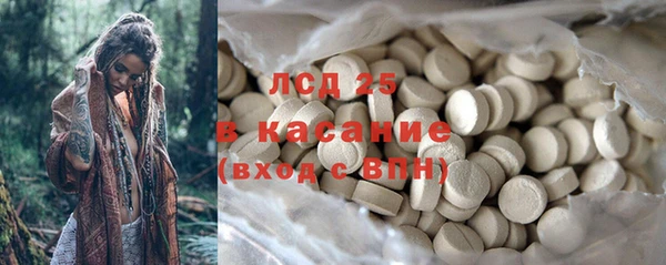 шишки Магас