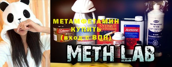 шишки Магас