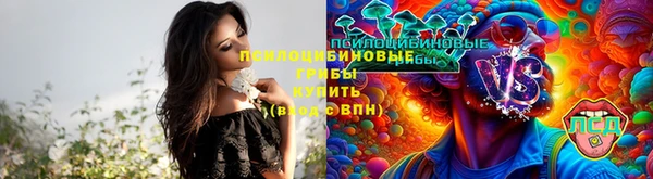 шишки Магас