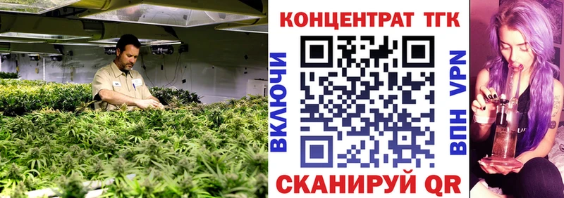 Купить закладки  Дмитровск  ТГК THC oil 